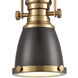 Chadwick 1 Light 8 inch Oil Rubbed Bronze with Satin Brass Mini Pendant Ceiling Light