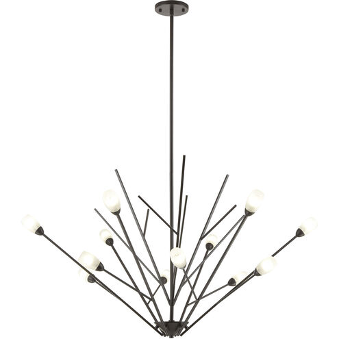 Ocotillo 12 Light 44 inch Oil Rubbed Bronze Chandelier Ceiling Light