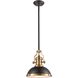 Chadwick 1 Light 13 inch Matte Black with Satin Brass Pendant Ceiling Light