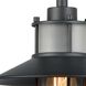 Coastal Farm 1 Light 10 inch Charcoal Outdoor Pendant