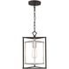 Salinger 1 Light 10 inch Charcoal with Satin Nickel Mini Pendant Ceiling Light