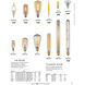 LED Bulbs LED 4 inch Brown Bulb - Lighting Accessory
