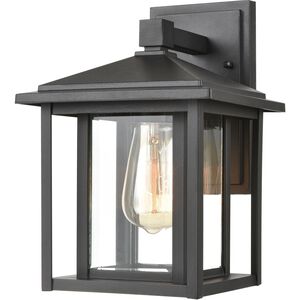 Solitude 1 Light 11 inch Matte Black Outdoor Wall Sconce