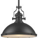 Chadwick 1 Light 17 inch Matte Black Pendant Ceiling Light