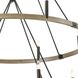 Transitions 16 Light 56 inch Oil Rubbed Bronze with Aspen Chandelier Ceiling Light