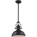 Chadwick 1 Light 13 inch Oil Rubbed Bronze Pendant Ceiling Light in Incandescent