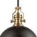 Chadwick 1 Light 17 inch Matte Black with Satin Brass Pendant Ceiling Light