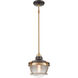 Seaway Passage 1 Light 10 inch Oil Rubbed Bronze with Satin Brass Mini Pendant Ceiling Light