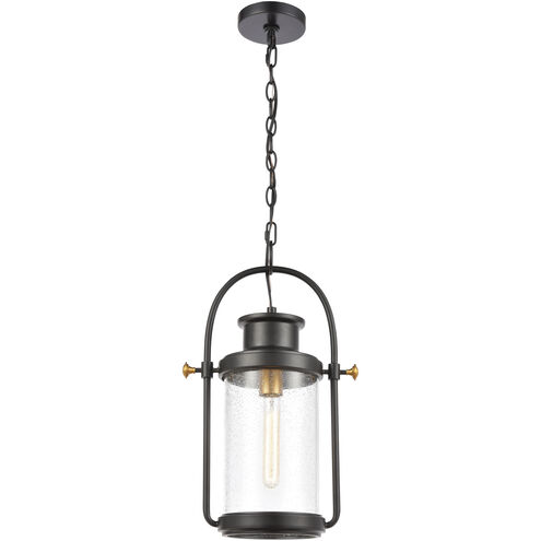 Wexford 1 Light 12 inch Matte Black with Brushed Brass Outdoor Pendant