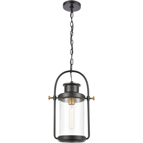 Wexford 8 inch 100.00 watt Matte Black with Brushed Brass Outdoor Pendant