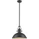 Chadwick 1 Light 17 inch Matte Black Pendant Ceiling Light