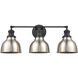 Haralson 3 Light 24 inch Charcoal with Satin Nickel Vanity Light Wall Light