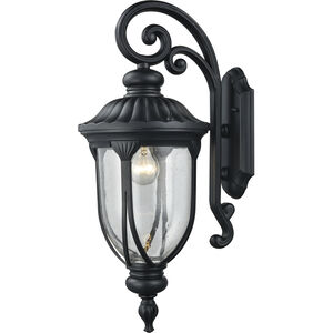 Derry Hill 1 Light 23 inch Matte Black with Clear Outdoor Sconce