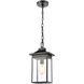 Lamplighter 1 Light 8 inch Matte Black Outdoor Pendant