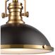 Chadwick 1 Light 17 inch Matte Black with Satin Brass Pendant Ceiling Light