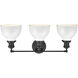 Haralson 3 Light 24 inch Charcoal with Enamel White Vanity Light Wall Light