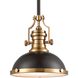 Chadwick 1 Light 13 inch Matte Black with Satin Brass Pendant Ceiling Light