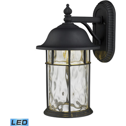 Lapuente LED 14 inch Matte Black with Clear Outdoor Wall Sconce