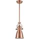 Chadwick 1 Light 8 inch Antique Copper Mini Pendant Ceiling Light in Incandescent