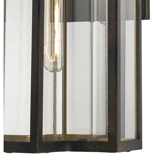 Bianca 1 Light 20 inch Hazelnut Bronze with Clear Outdoor Sconce