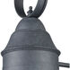 Onion 1 Light 18 inch Aged Zinc Outdoor Sconce