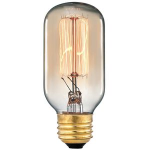 Filament Bulbs A19 E26 Medium 60 watt Bulb - Lighting Accessory