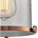 Chadwick 1 Light 8 inch Copper Mini Pendant Ceiling Light