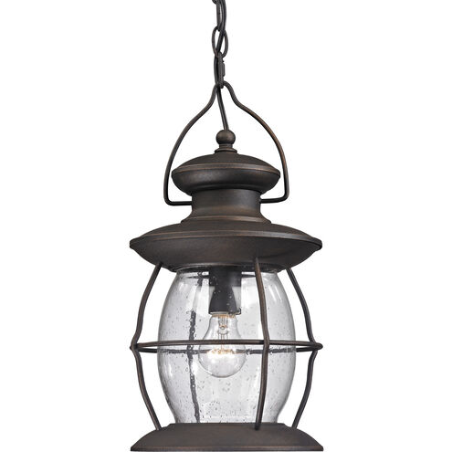 Village Lantern 10 inch 60.00 watt Weathered Charcoal Outdoor Pendant