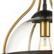 Vispon 1 Light 14 inch Matte Black with Burnished Brass Pendant Ceiling Light