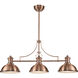 Chadwick Linear Chandelier Ceiling Light in Incandescent