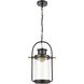Wexford 1 Light 12 inch Matte Black with Brushed Brass Outdoor Pendant