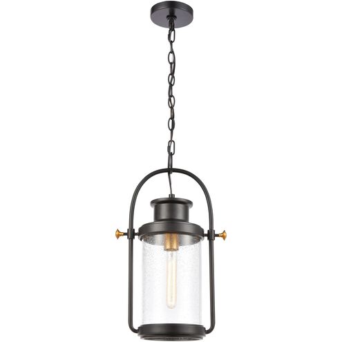 Wexford 1 Light 12 inch Matte Black with Brushed Brass Outdoor Pendant