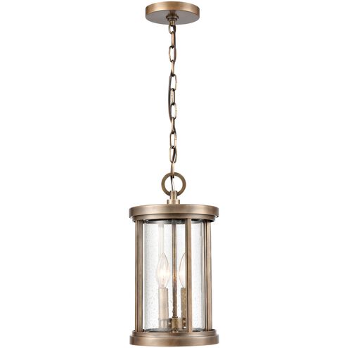 Brison 2 Light 8 inch Vintage Brass Outdoor Pendant