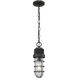 Darby 1 Light 5 inch Oil Rubbed Bronze with Clear Mini Pendant Ceiling Light