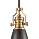 Chadwick 1 Light 8 inch Oil Rubbed Bronze with Satin Brass Mini Pendant Ceiling Light