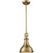Rutherford 1 Light 9 inch Satin Brass Mini Pendant Ceiling Light