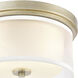 Diffusion 2 Light 13 inch Aged Silver Flush Mount Ceiling Light