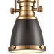 Chadwick 1 Light 8 inch Oil Rubbed Bronze with Satin Brass Mini Pendant Ceiling Light