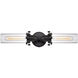 Fulton 2 Light 20 inch Oil Rubbed Bronze with Clear Vanity Light Wall Light