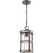 Annenberg 1 Light 8 inch Anvil Iron with Distressed Antiqued Gray Outdoor Pendant