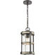 Annenberg 1 Light 8 inch Anvil Iron with Distressed Antiqued Gray Outdoor Pendant