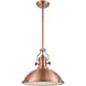 Chadwick 1 Light 17 inch Antique Copper Pendant Ceiling Light in Incandescent