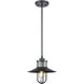 Coastal Farm 1 Light 10 inch Charcoal Outdoor Pendant