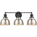 Haralson 3 Light 24 inch Charcoal with Satin Nickel Vanity Light Wall Light