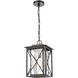 Carriage Light 1 Light 9 inch Matte Black Outdoor Pendant