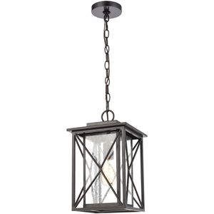 Carriage Light 1 Light 9 inch Matte Black Outdoor Pendant