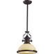 Chadwick 1 Light 13 inch Oiled Bronze Pendant Ceiling Light in Incandescent