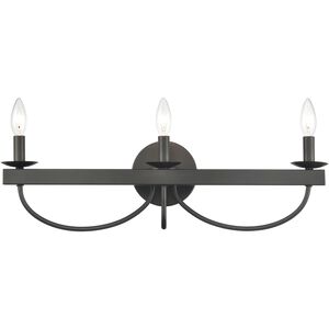 Williamson 3 Light 24 inch Black Vanity Light Wall Light