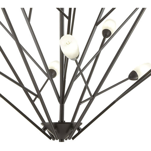 Ocotillo 12 Light 44 inch Oil Rubbed Bronze Chandelier Ceiling Light