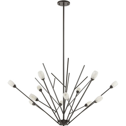 Ocotillo 12 Light 44 inch Oil Rubbed Bronze Chandelier Ceiling Light